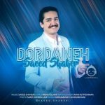 دانلود آهنگ دردانه – سعید شاهری