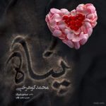 دانلود آهنگ پناه – محمد کوهرخی