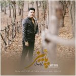 دانلود آهنگ پائیز – پویا بیاتی دانلود آهنگ پائیز – پویا بیاتی