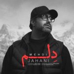 دانلود آهنگ دلم – مهدی جهانی دانلود آهنگ دلم – مهدی جهانی
