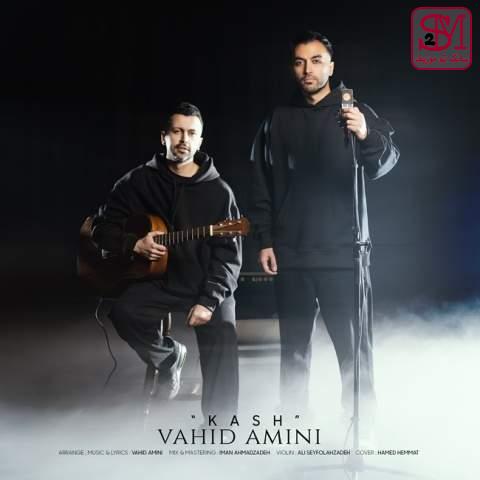 آهنگ کاش از وحید امینی