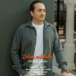 دانلود آهنگ دلم میخوادت – علیرضا صالحی دانلود آهنگ دلم میخوادت – علیرضا صالحی
