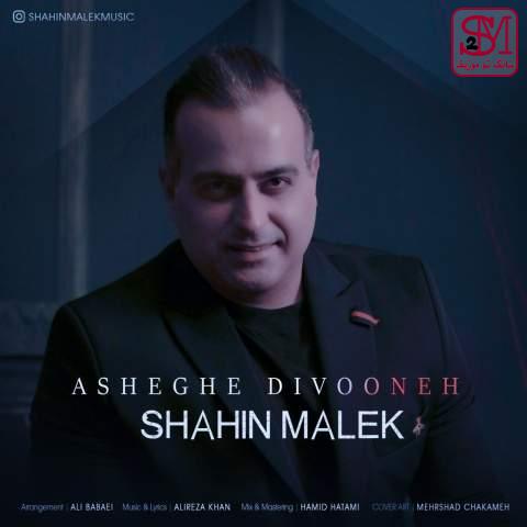 آهنگ عاشق دیوونه از شاهین ملک
