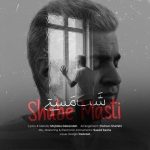دانلود آهنگ شب مستی – مجتبی دل زنده