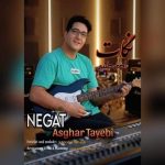 دانلود آهنگ نگات – اصغر طیبی دانلود آهنگ نگات – اصغر طیبی