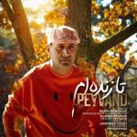 دانلود آهنگ تا زنده ام – پیوند