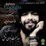 دانلود آهنگ آقای لوتی ها – سید حجت نبوی منش دانلود آهنگ آقای لوتی ها – سید حجت نبوی منش