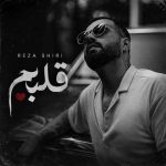 دانلود آهنگ قلبم – رضا شیری دانلود آهنگ قلبم – رضا شیری