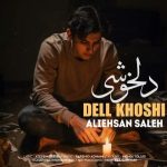 دانلود آهنگ دلخوشی – علی احسان صالح دانلود آهنگ دلخوشی – علی احسان صالح