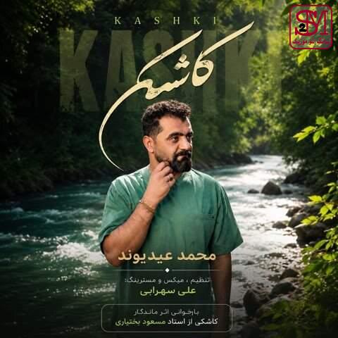 آهنگ کاشکی یه سال از محمد عیدیوند